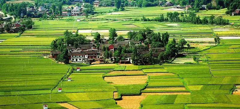 文旅融合与乡村振兴专题培训