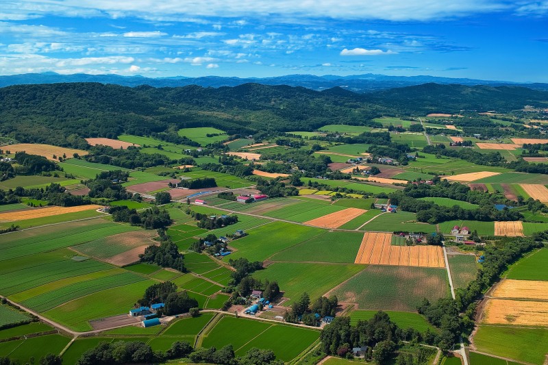 乡村振兴专题培训